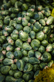 Bundles of fresh Brussels sprouts neatly arranged in a market setting.