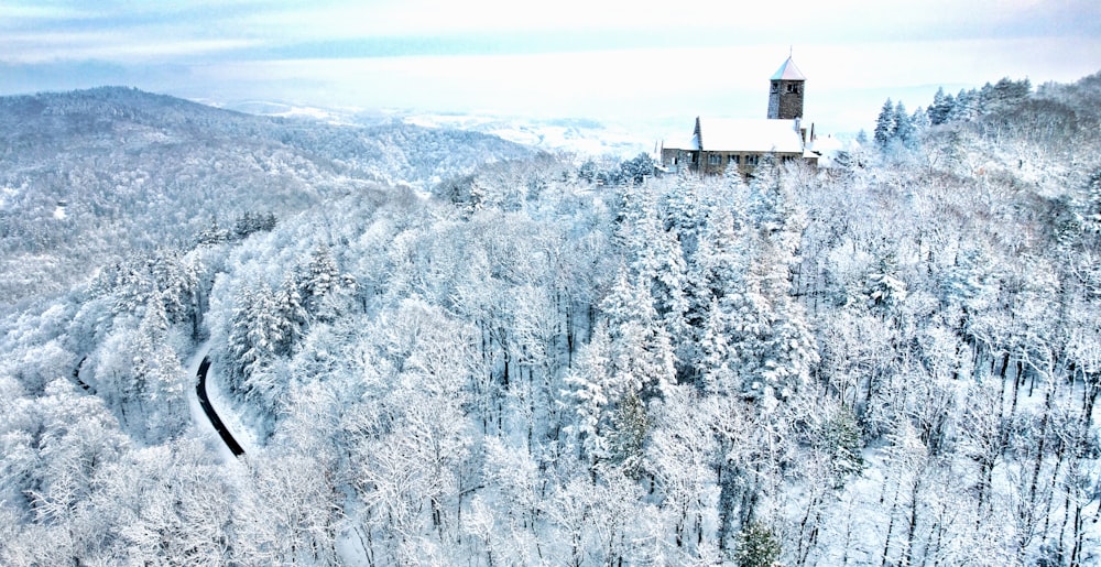 an aerial view of a snowy forest with a church in the distance