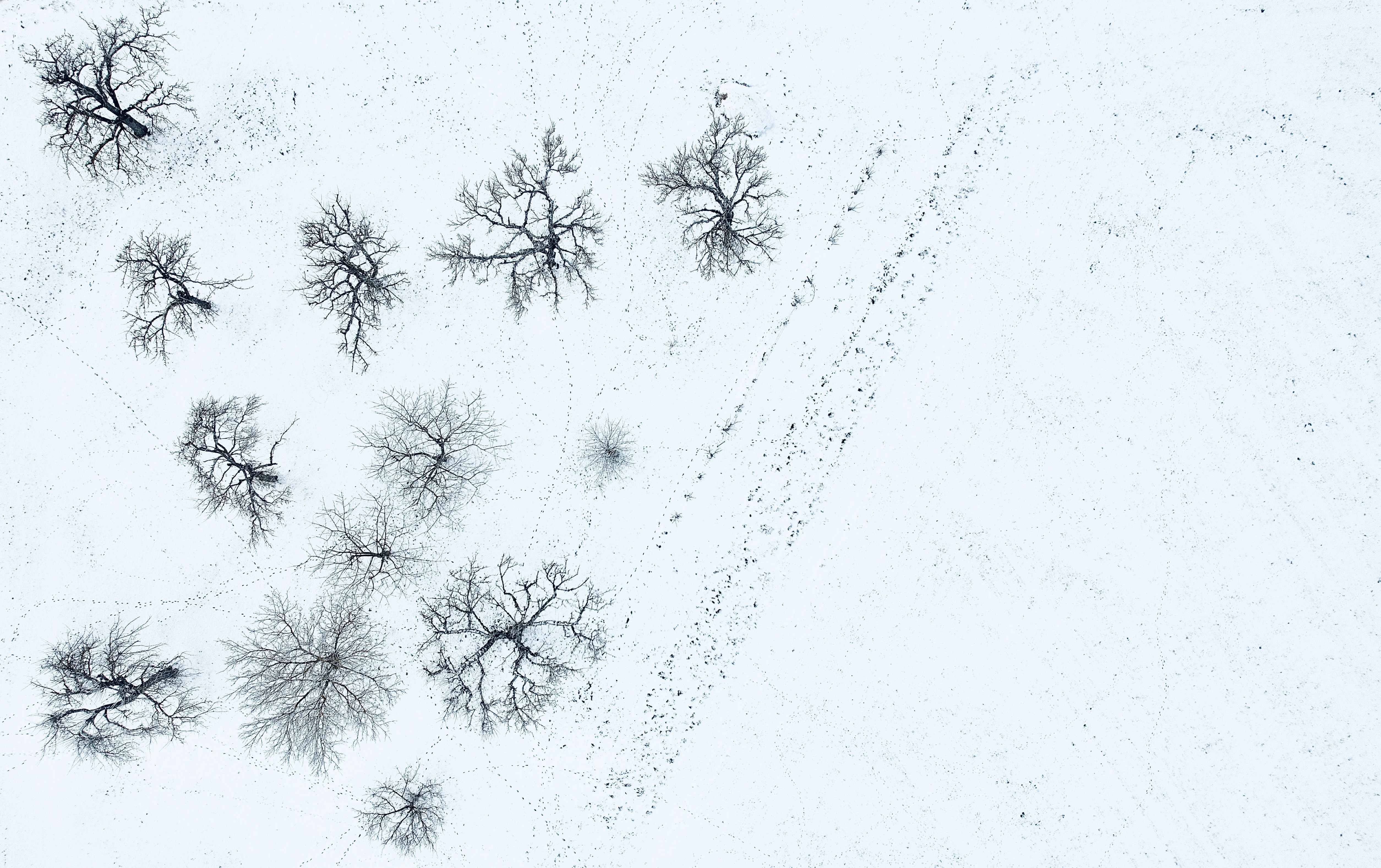 An aerial view of a snow covered field photo – Free Laichinger alb ...
