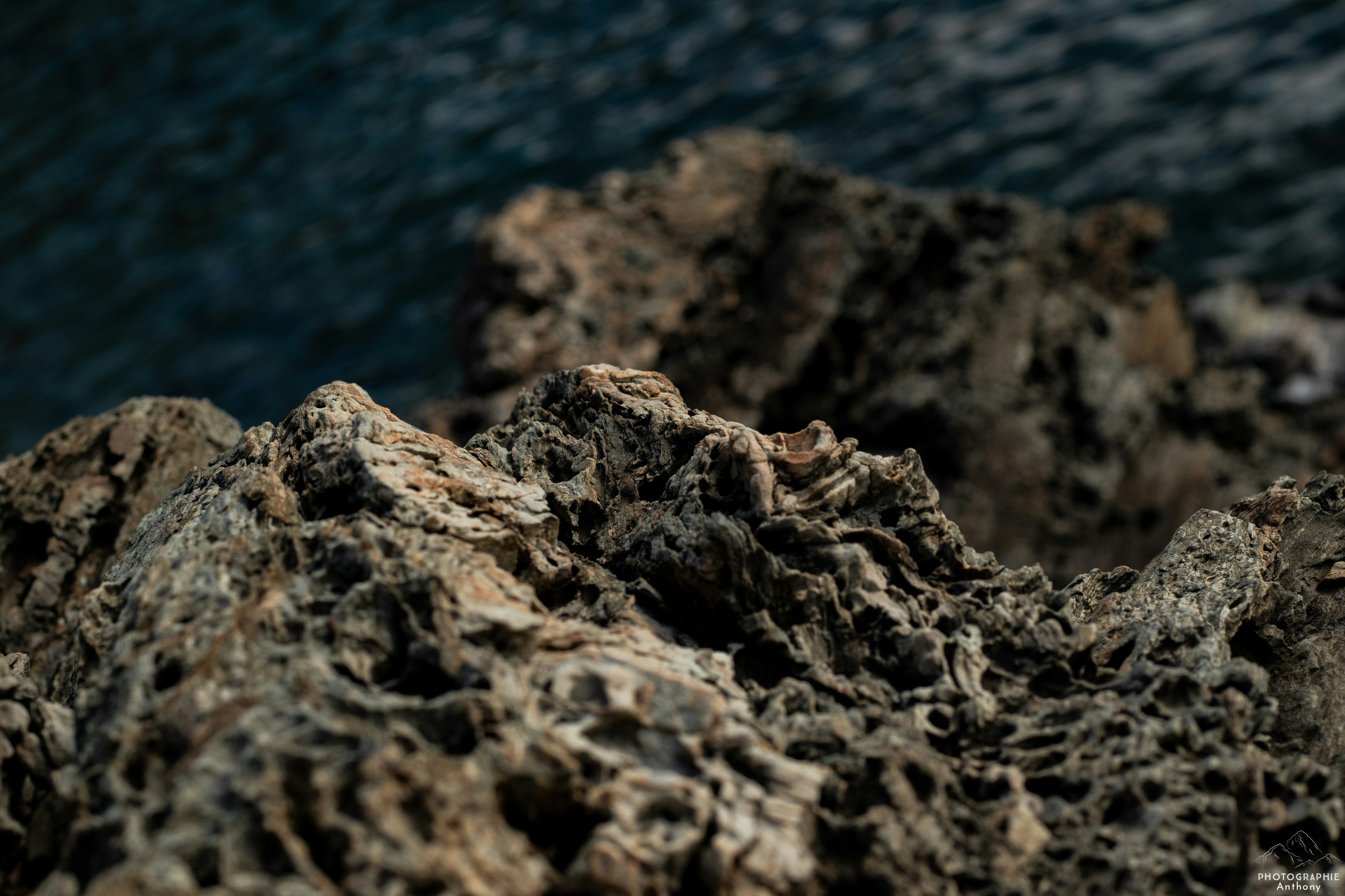 Photo by photographieanthony66