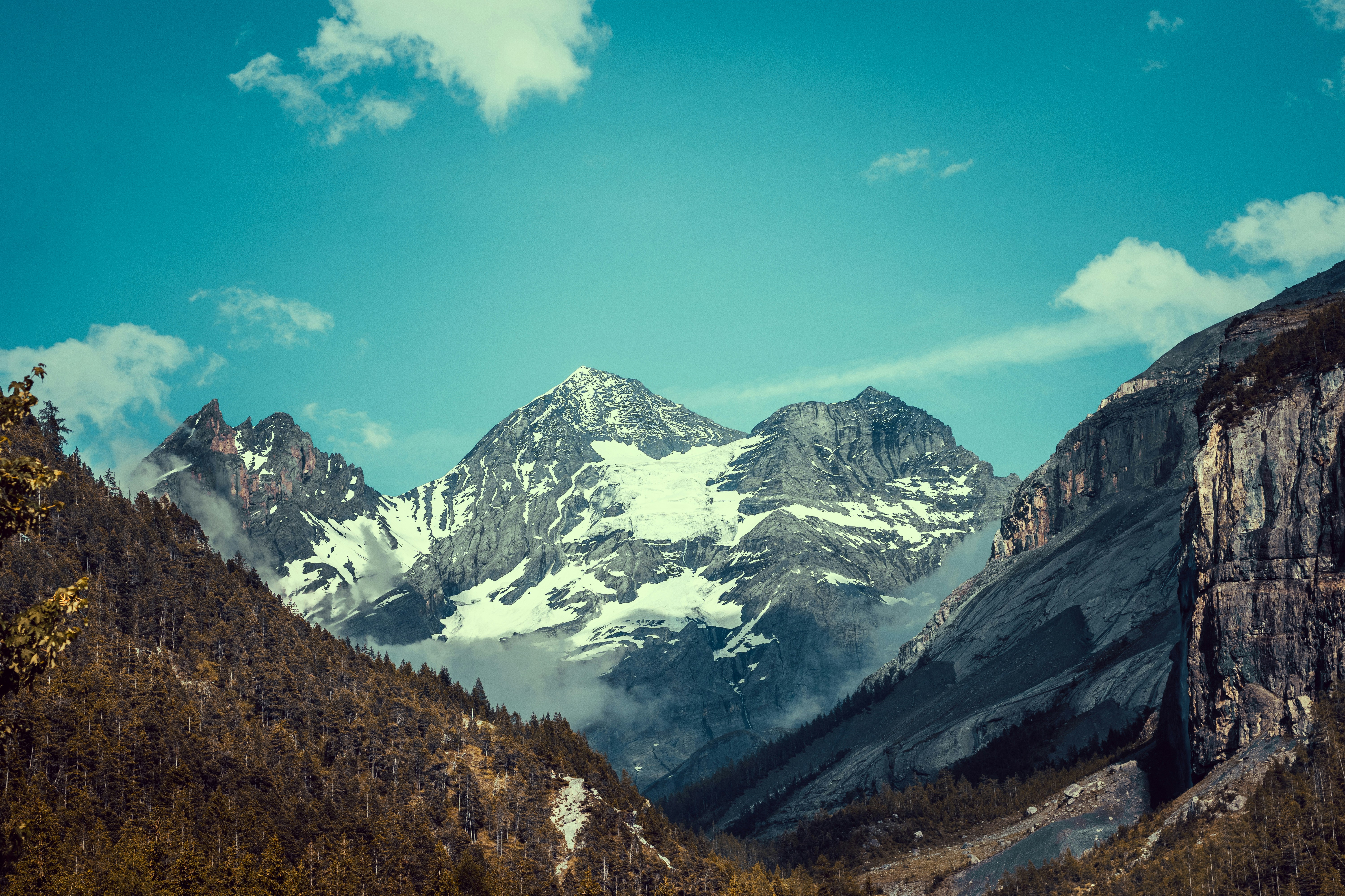 Photo by gerson_lozano