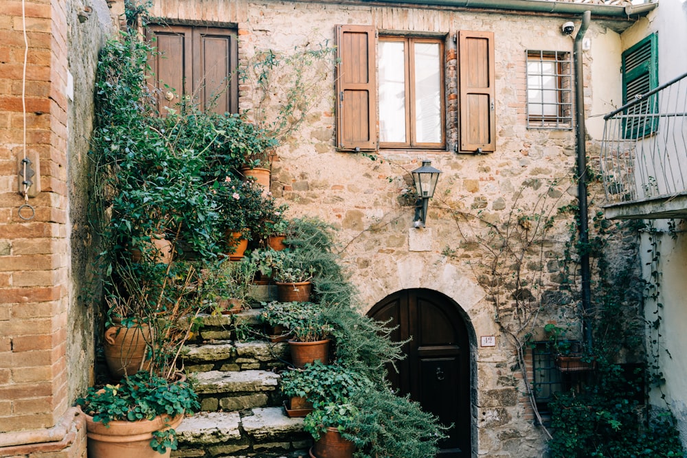 a building with a bunch of potted plants outside of it