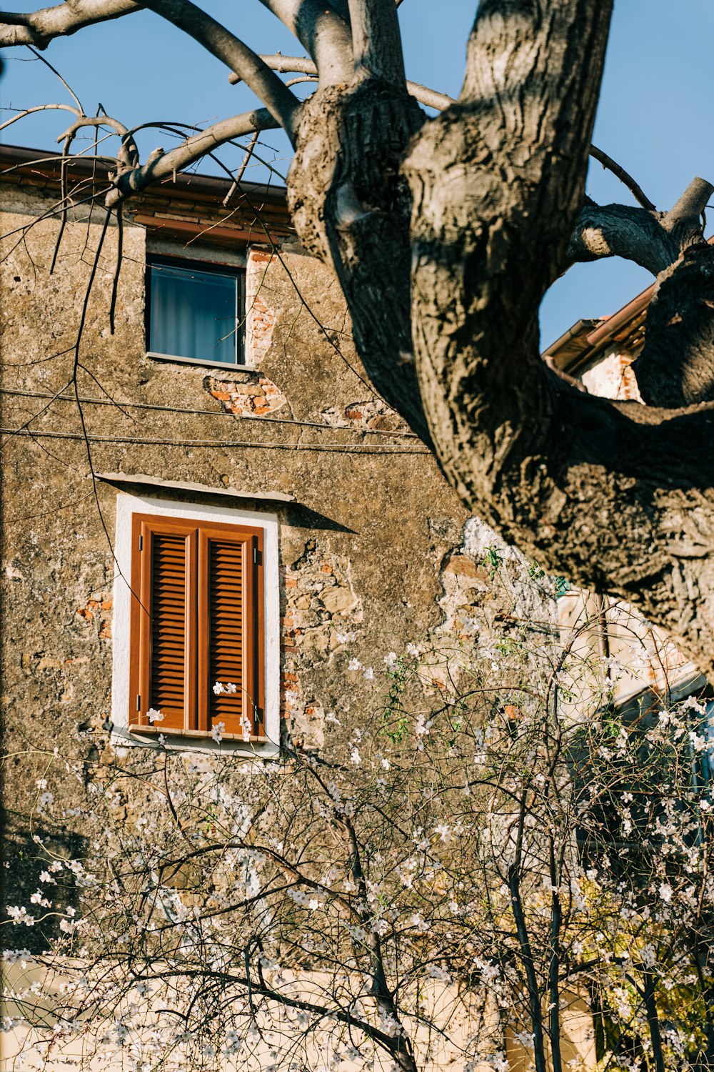 Un vecchio edificio con una finestra rossa e persiane