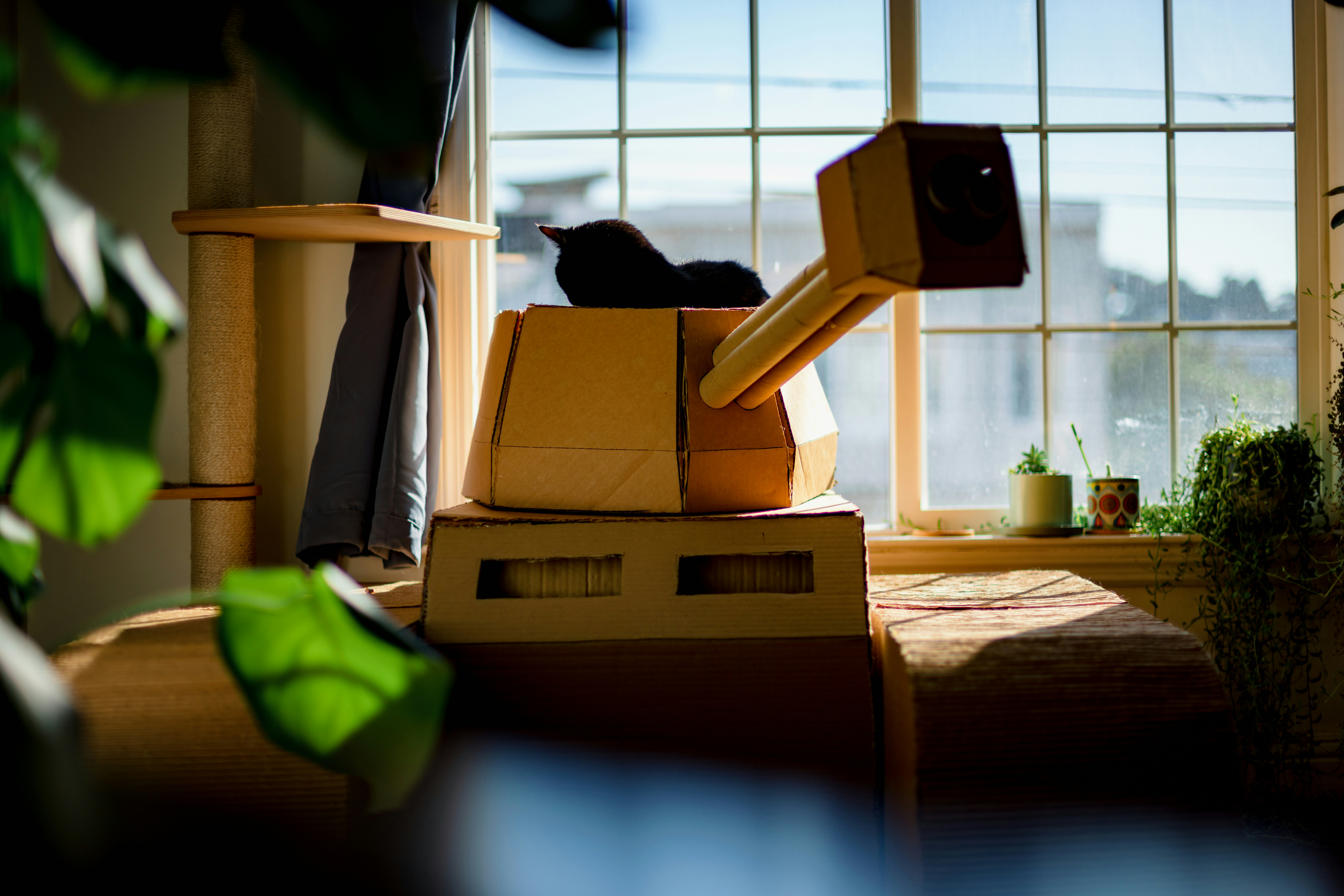 Château Noir Cat House