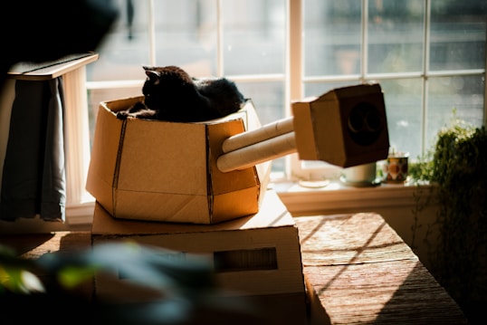 A black cat is lounging inside a cardboard structure resembling a tank. Sunlight streams through a large window behind, casting shadows and creating a warm, cozy atmosphere. Various household items, including a cup and some plants, are visible in the background.