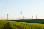 a field of green grass with wind turbines in the background