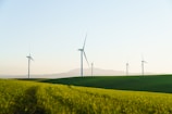 a field of green grass with wind turbines in the background