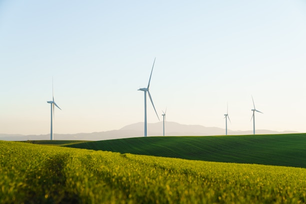 a field of green grass with wind turbines in the background