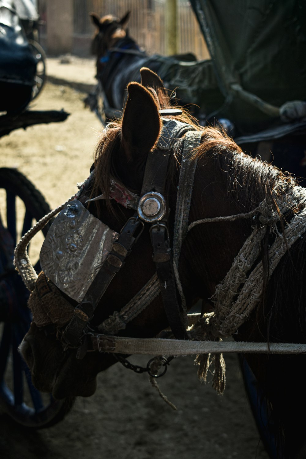 a close up of a horse pulling a carriage