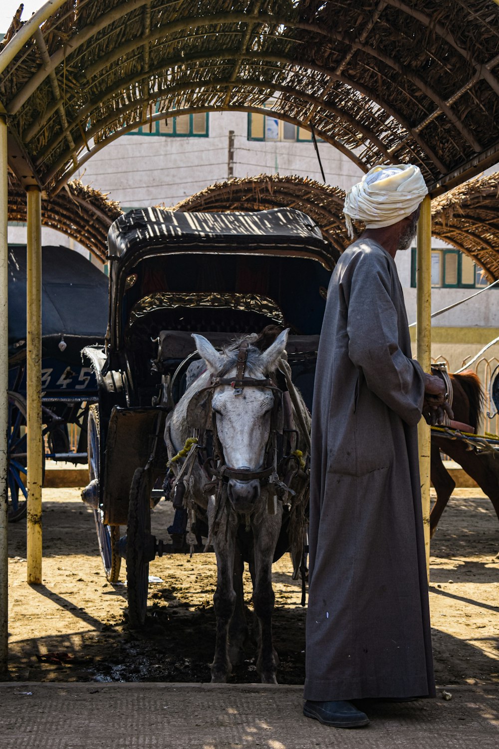 a man standing next to a donkey pulling a carriage