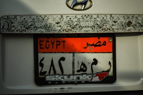 A close-up view of a car's license plate featuring English and Arabic text. The rectangular plate has a prominent orange and white color scheme with the word 'EGYPT' at the top. Decorative art with a skull motif frames the plate above. Below the plate, there is a 'Skunk Racing' logo.