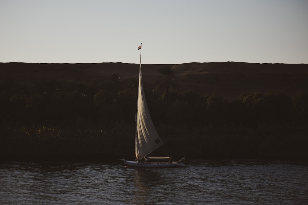 a sailboat with a flag on a body of water