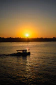 A serene sunset over the Sundarbans mangrove forest, with a boat gently gliding through the water.