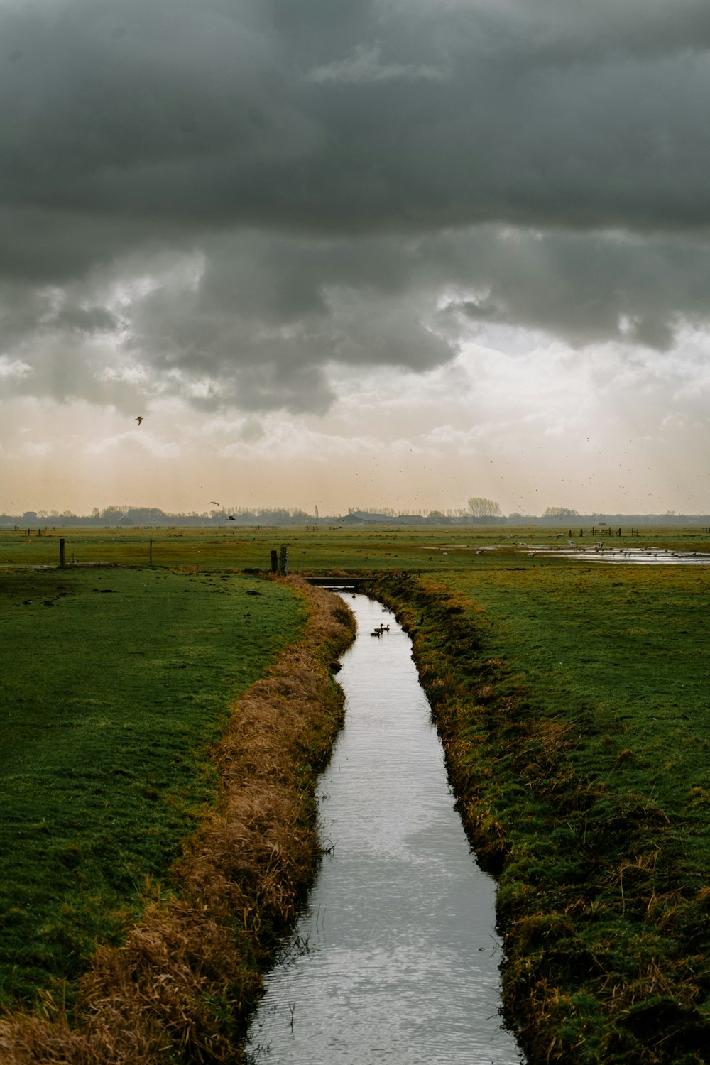 a stream running through a lush green field under a cloudy sky