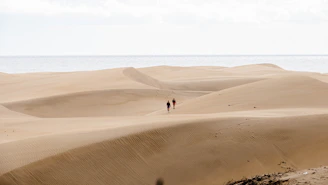 Dunas de Maspalomas