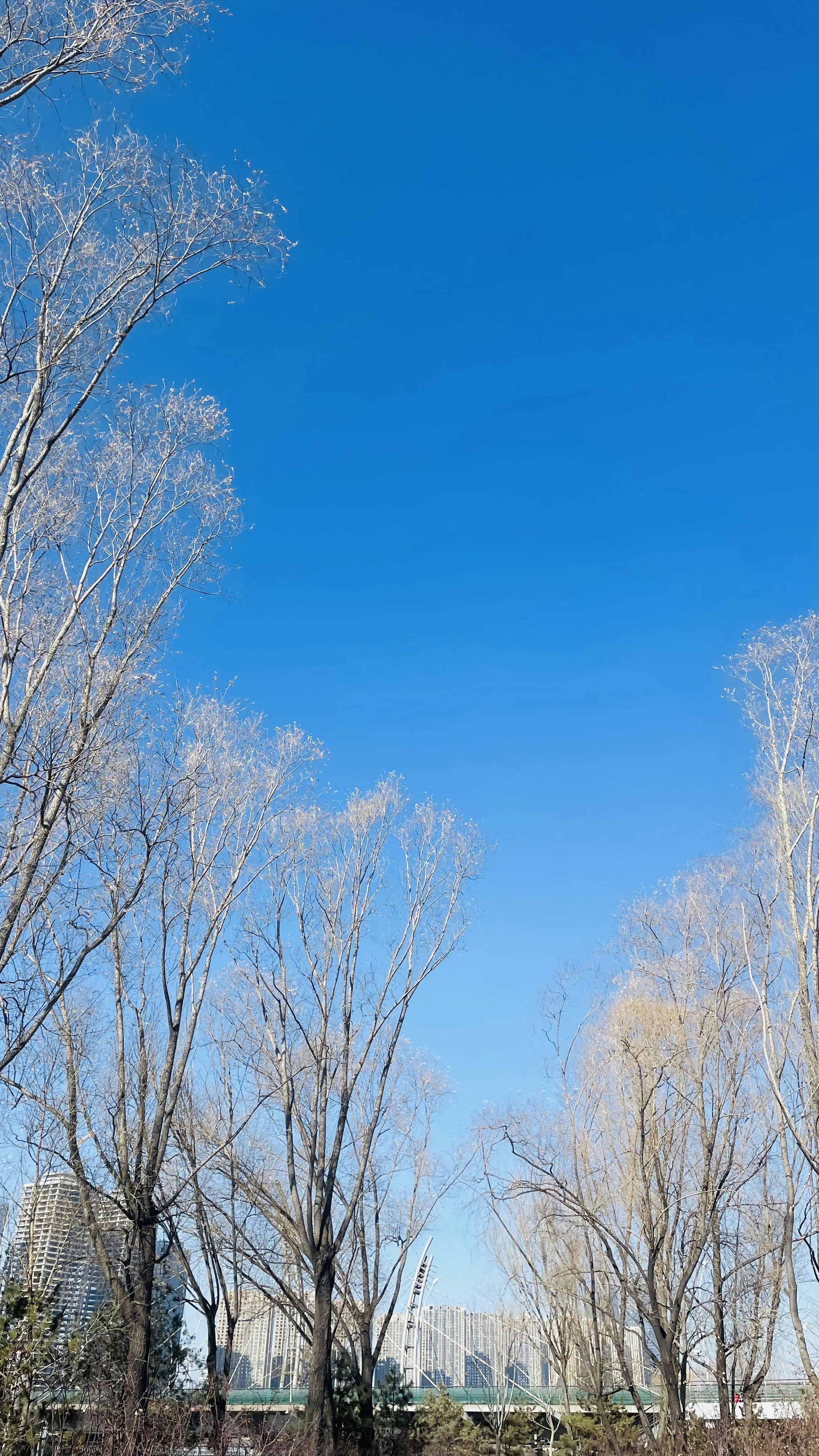 Photo by lsrabbit1212