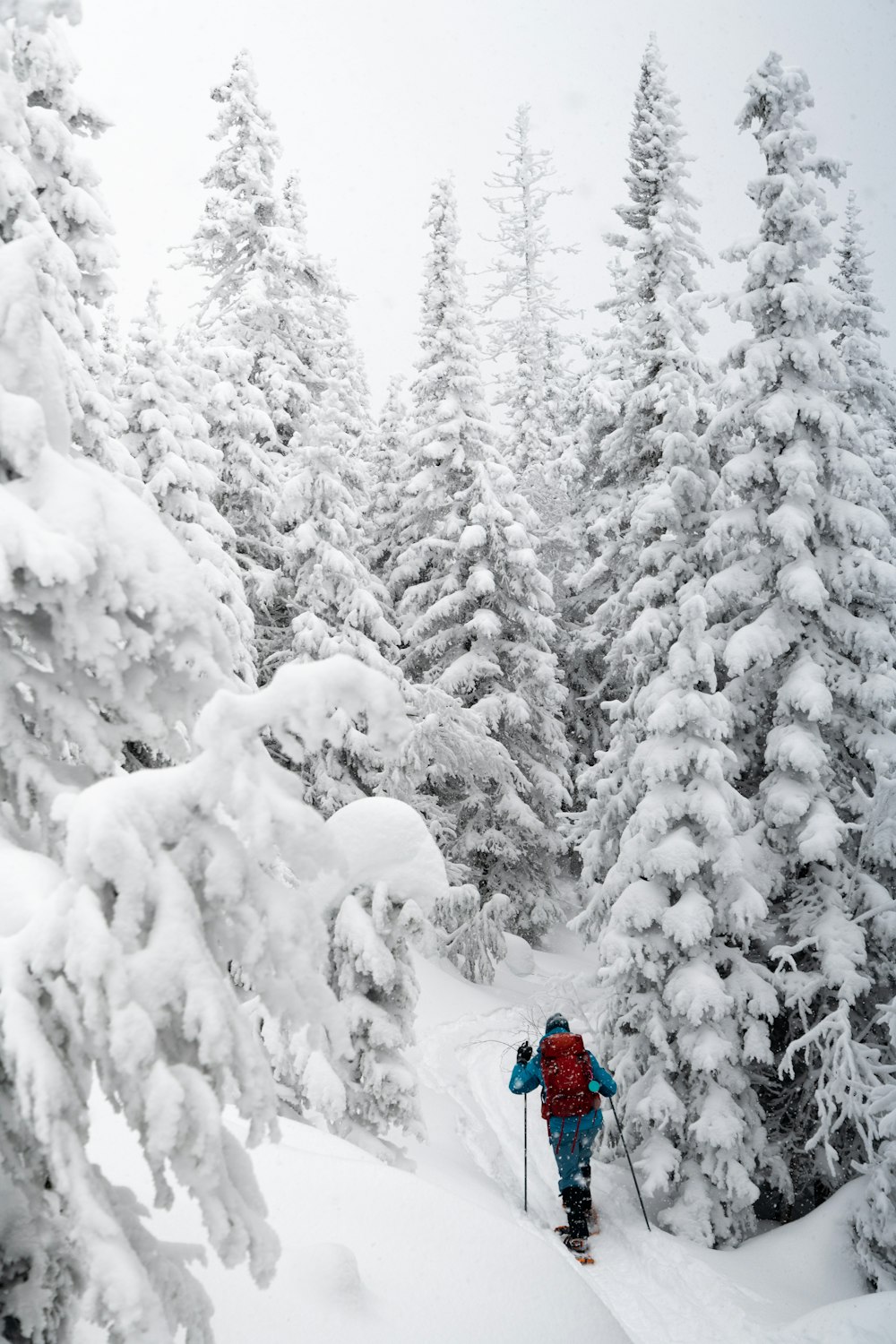 a person on skis going down a snowy hill