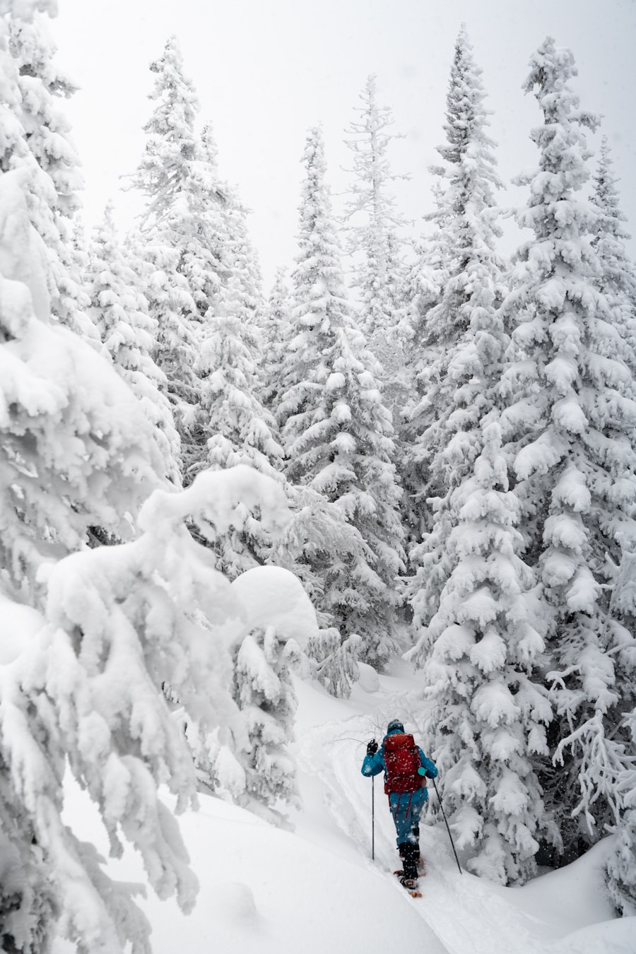 Skiing