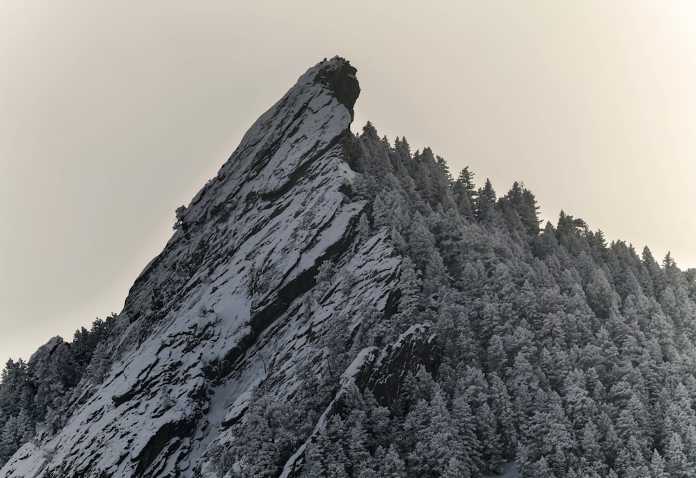 una montaña cubierta de nieve con árboles en el costado