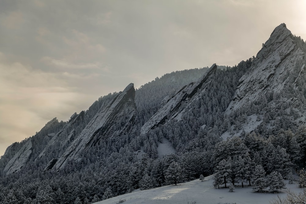 una montaña cubierta de nieve con árboles en el costado