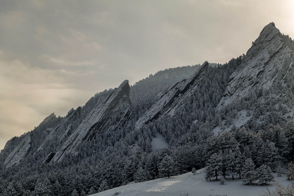 a snow covered mountain with trees on the side