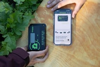 Two hands are holding objects next to some green plants. One hand holds a black and green electronic device with the brand 'Newpowa' displayed. The other hand holds a smartphone showing a product page for a 'Newpowa' 12V/24V PWM Solar Charge Controller, including product ratings and details.