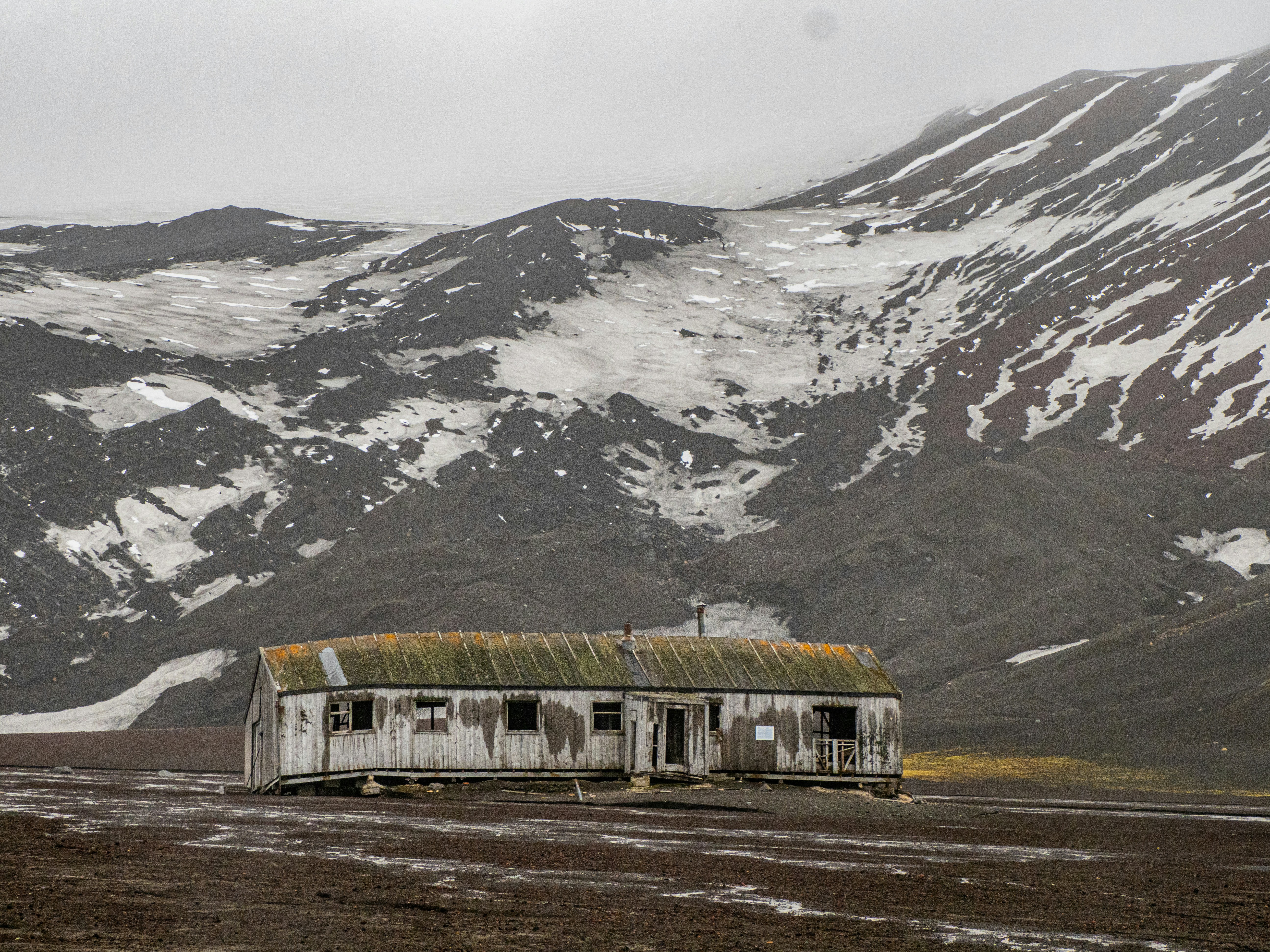 Photo by lderksen