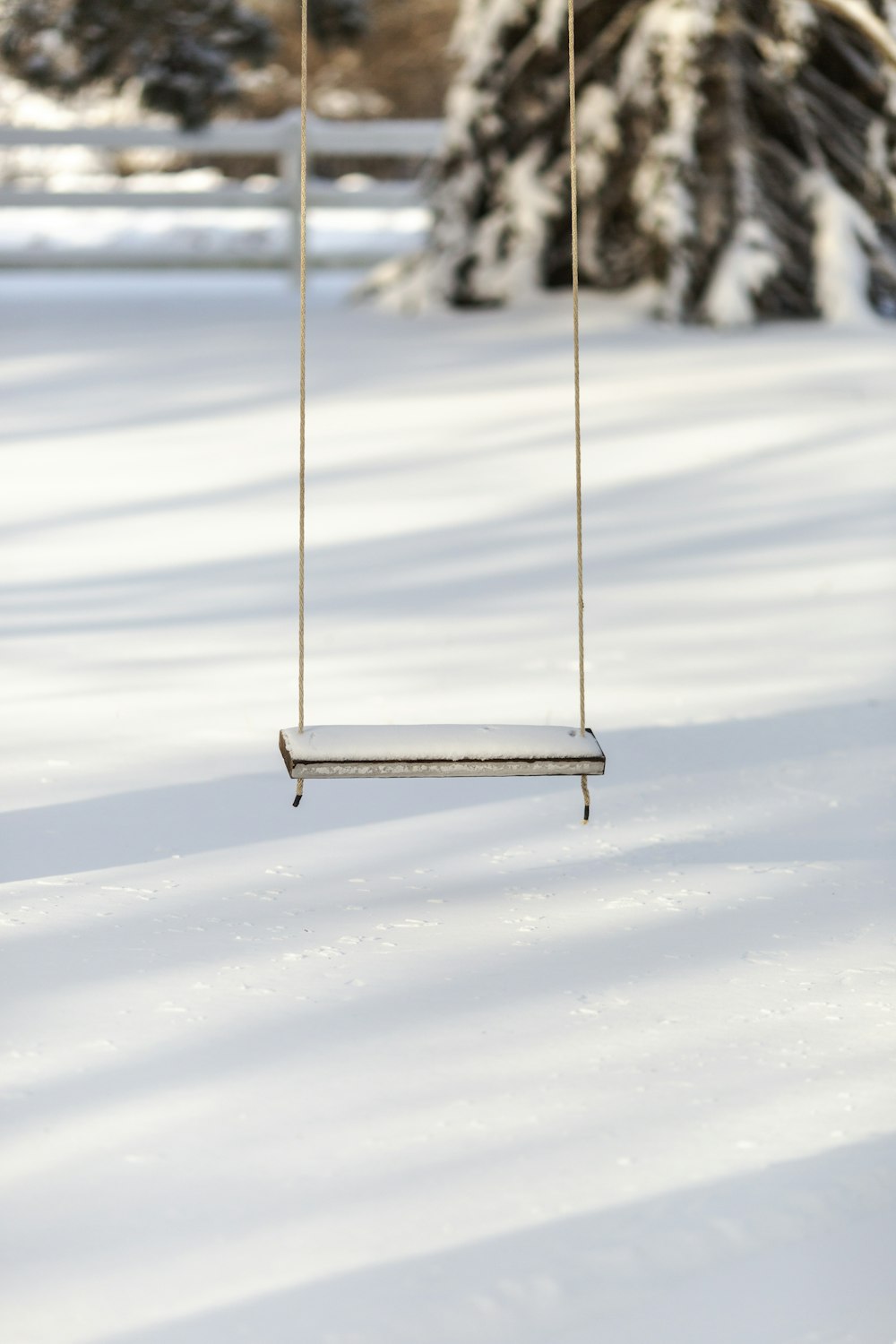 a swing hanging from a tree in the snow