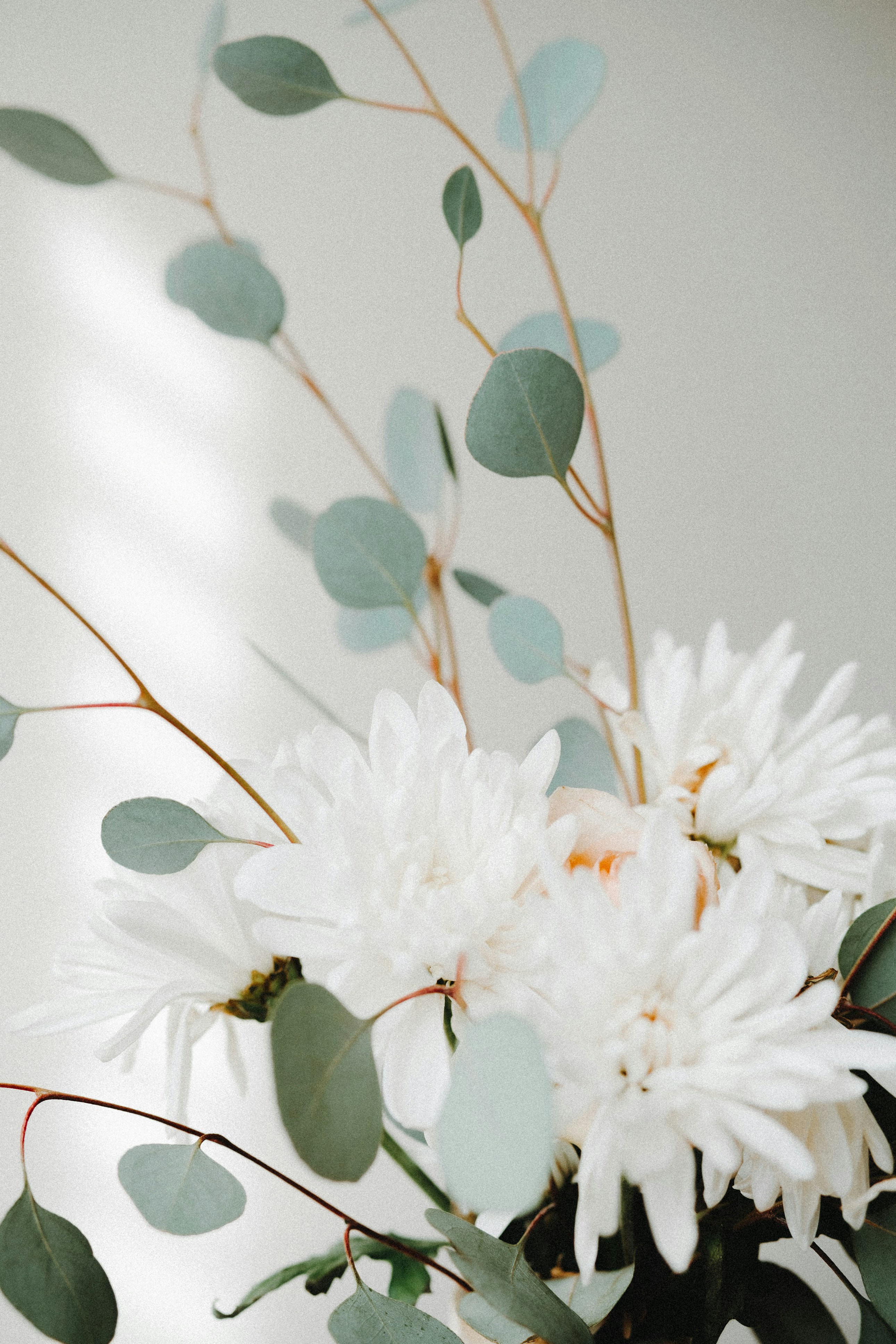 Photo by marsupialpudding