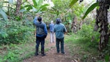 A guide pointing out jungle flora to attentive visitors on the trail.