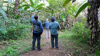 Students exploring a forest trail with a guide pointing out plants