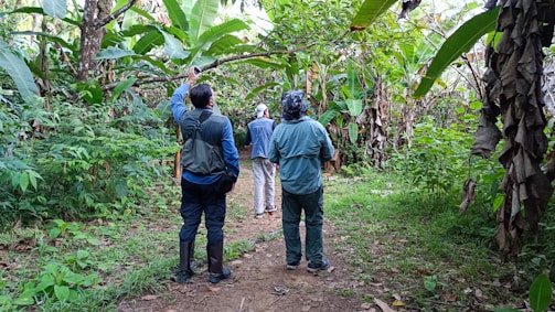 Students exploring a forest trail with a guide pointing out plants