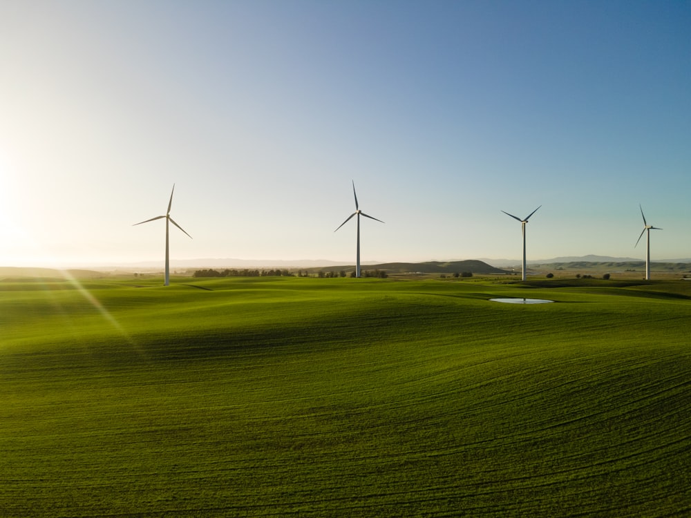 a group of wind turbines in a green field