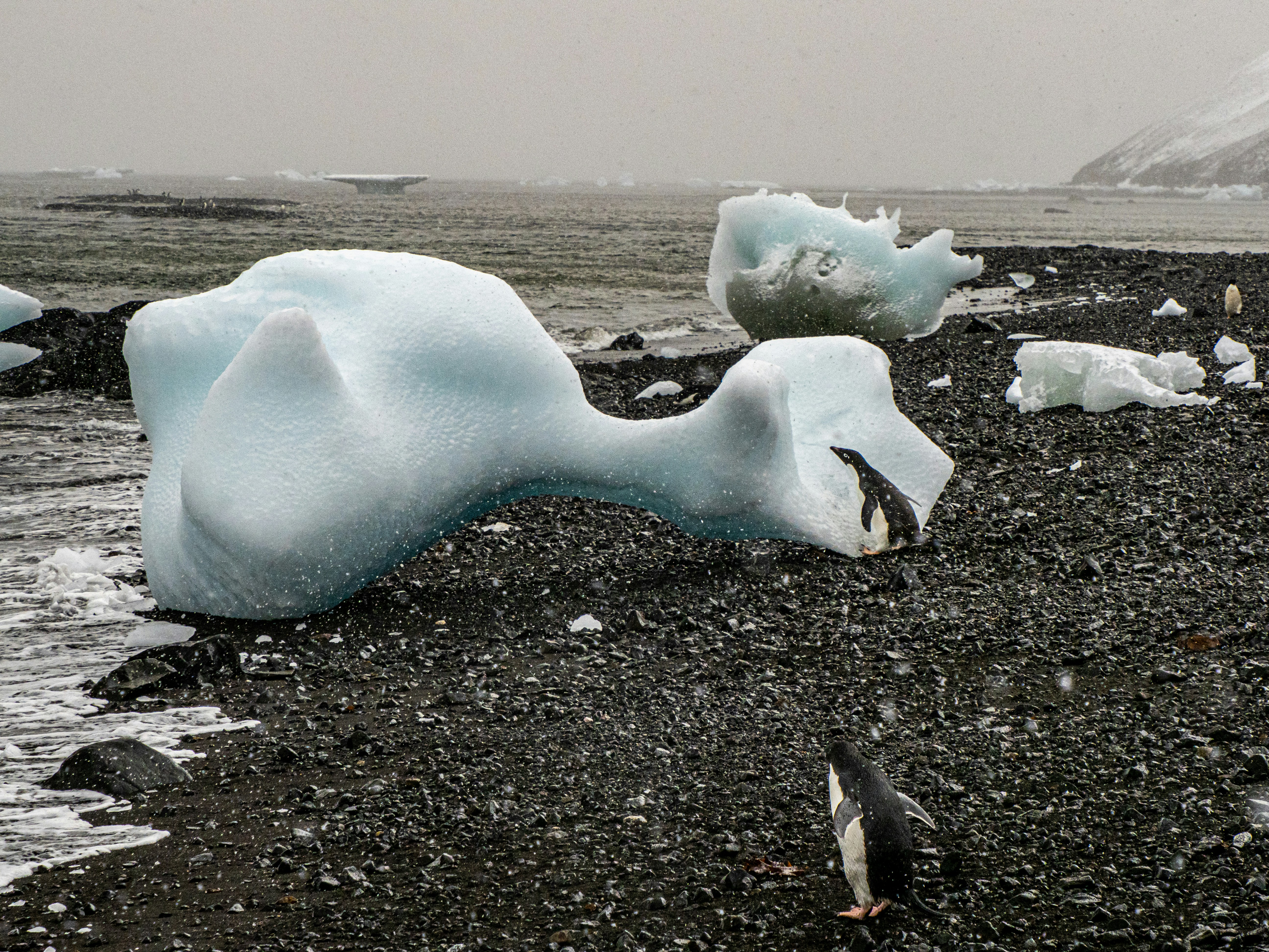 The Final Chill: Facing the Ice Age’s End (image credits: unsplash)