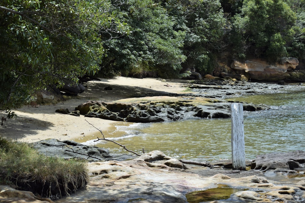 there is a sign that is in the water