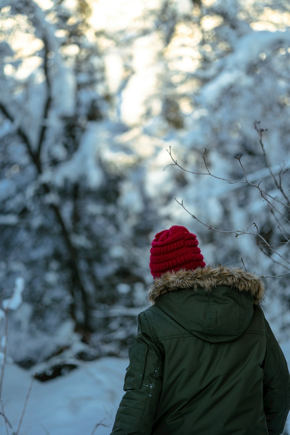 a person in a red hat is walking through the snow