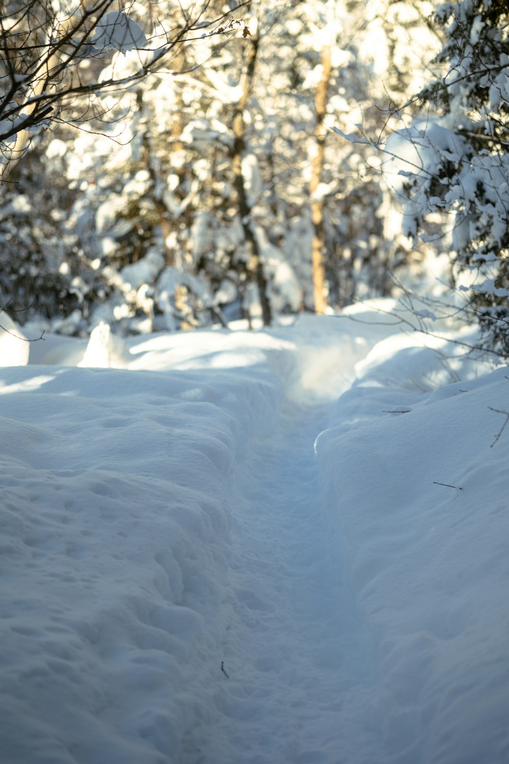 a person riding skis down a snow covered slope