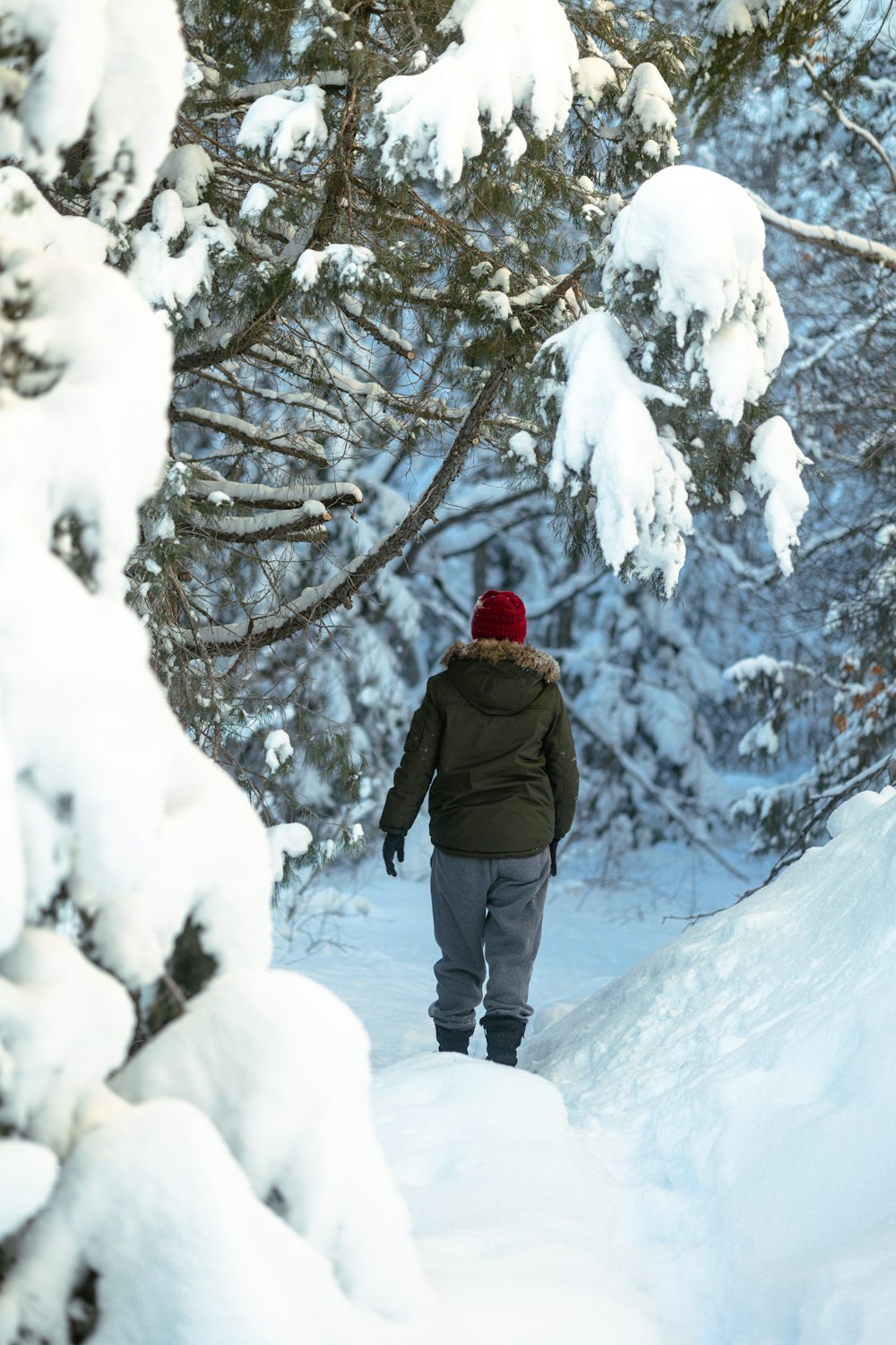 a person walking through a snow covered forest