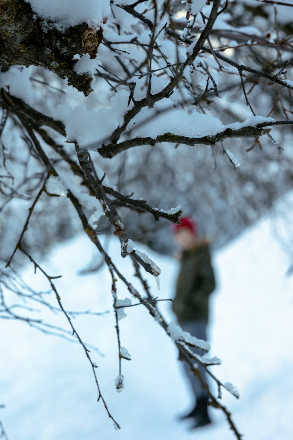 a man standing in the snow next to a tree