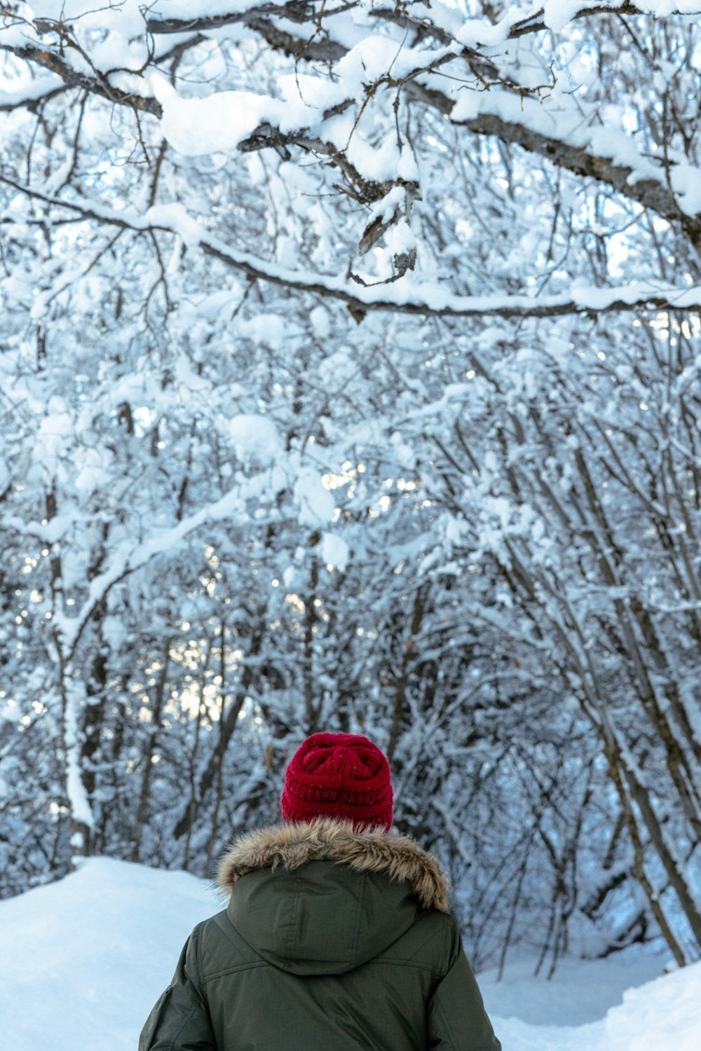 a person walking in the snow with a snowboard