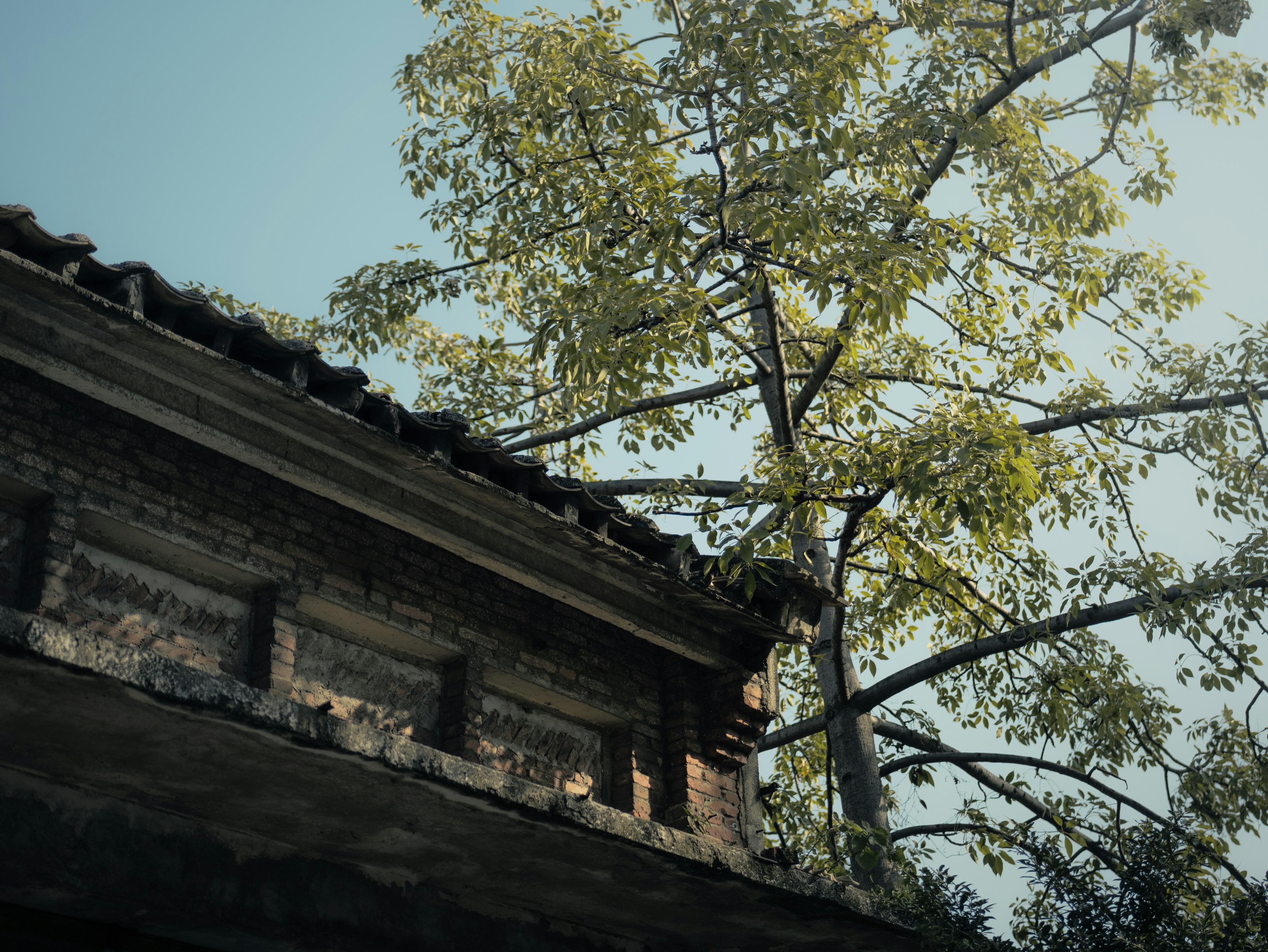 Photo by shieldxie