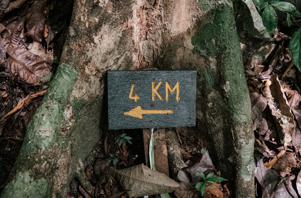 a sign that is on the side of a tree