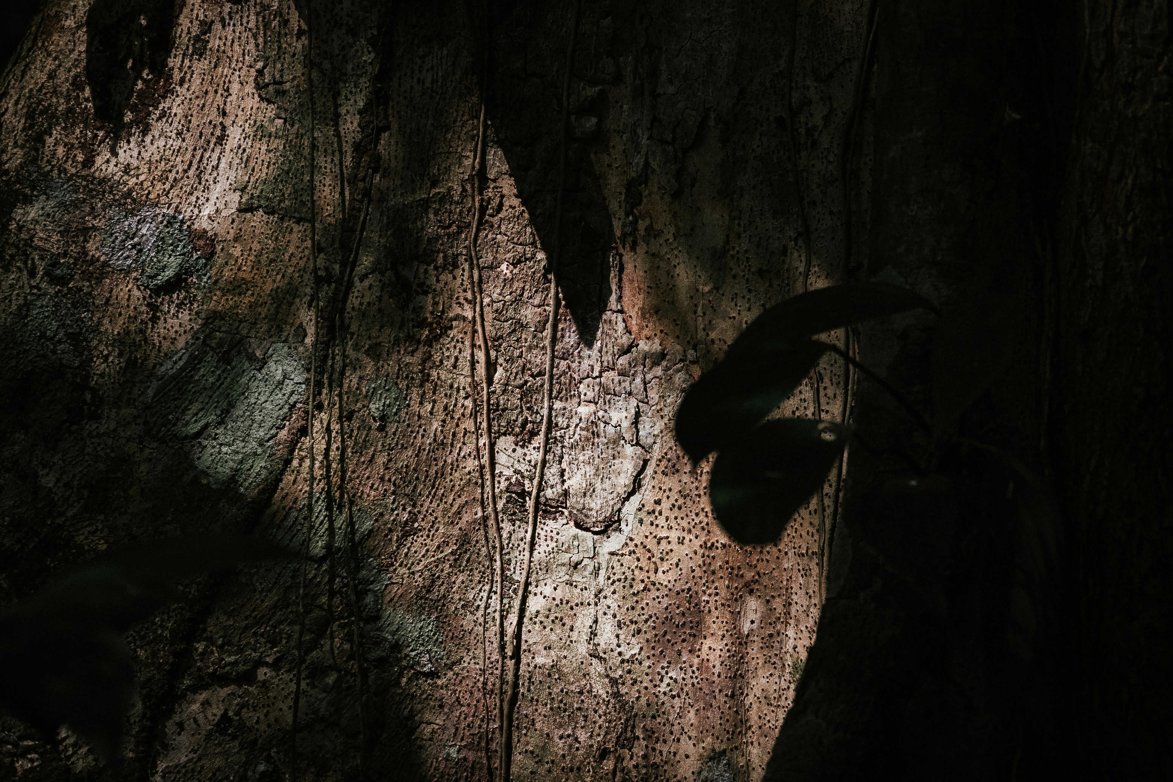 Photo by framesforyourheart