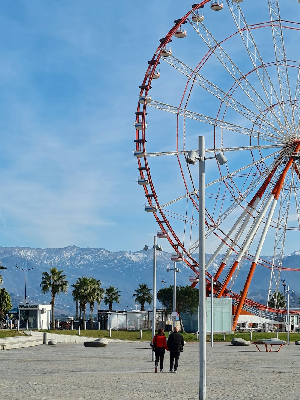 a ferris wheel in a park with mountains in the background