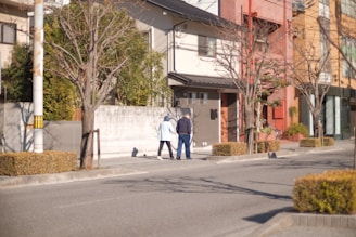 A couple of elderly people walking on a quiet residential street lined with houses and leafless trees. One of them is wearing a light blue coat and the other a dark one. The surroundings include well-maintained hedges, a light pole, and a concrete sidewalk. The background features slightly modern houses with varied facades, including beige, brick red, and orange colors.