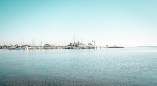 Sweetbay Marina in Panama City with palm trees swaying near the docks.