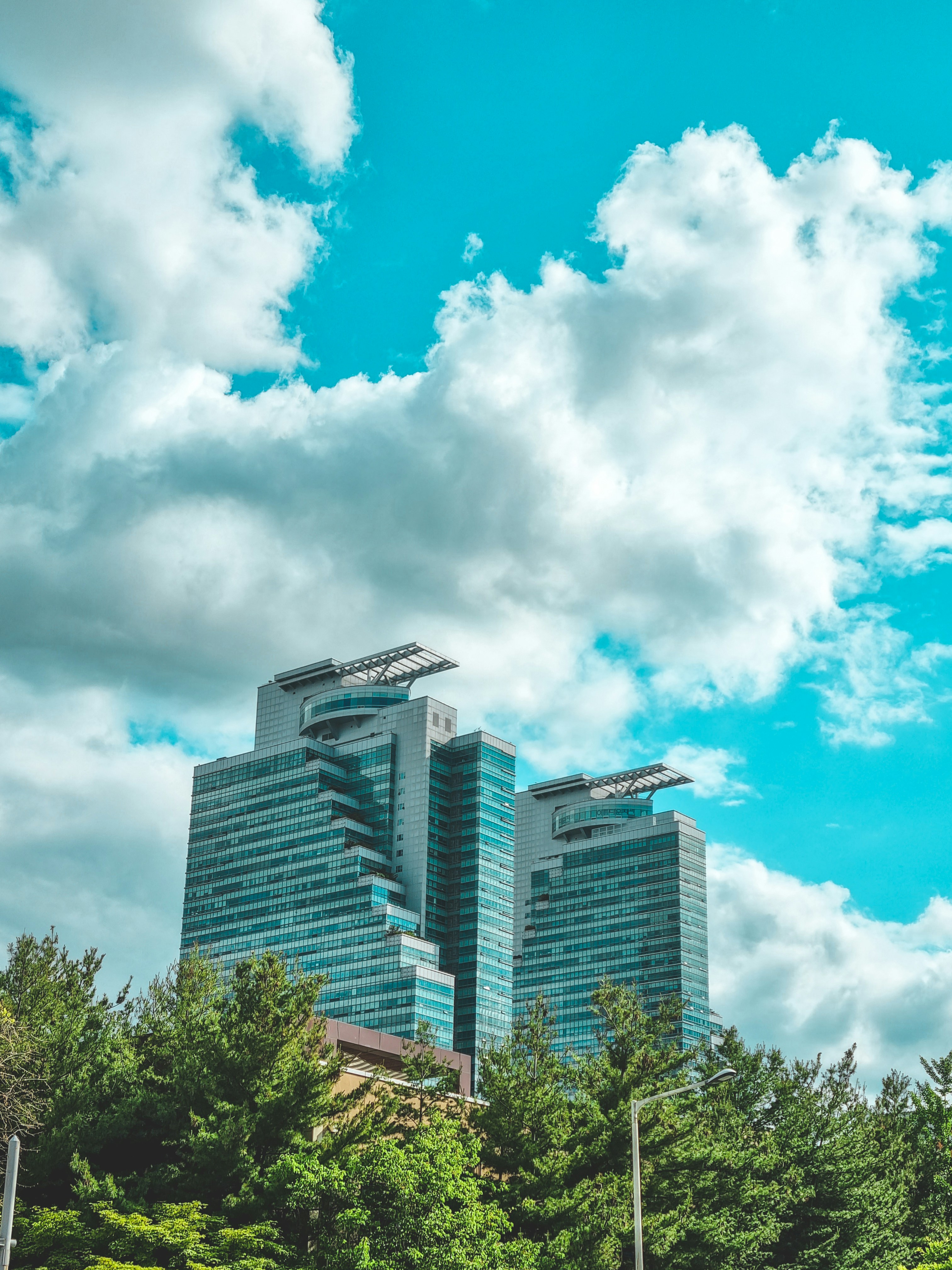 Ein paar hohe Gebäude mitten in einem Wald