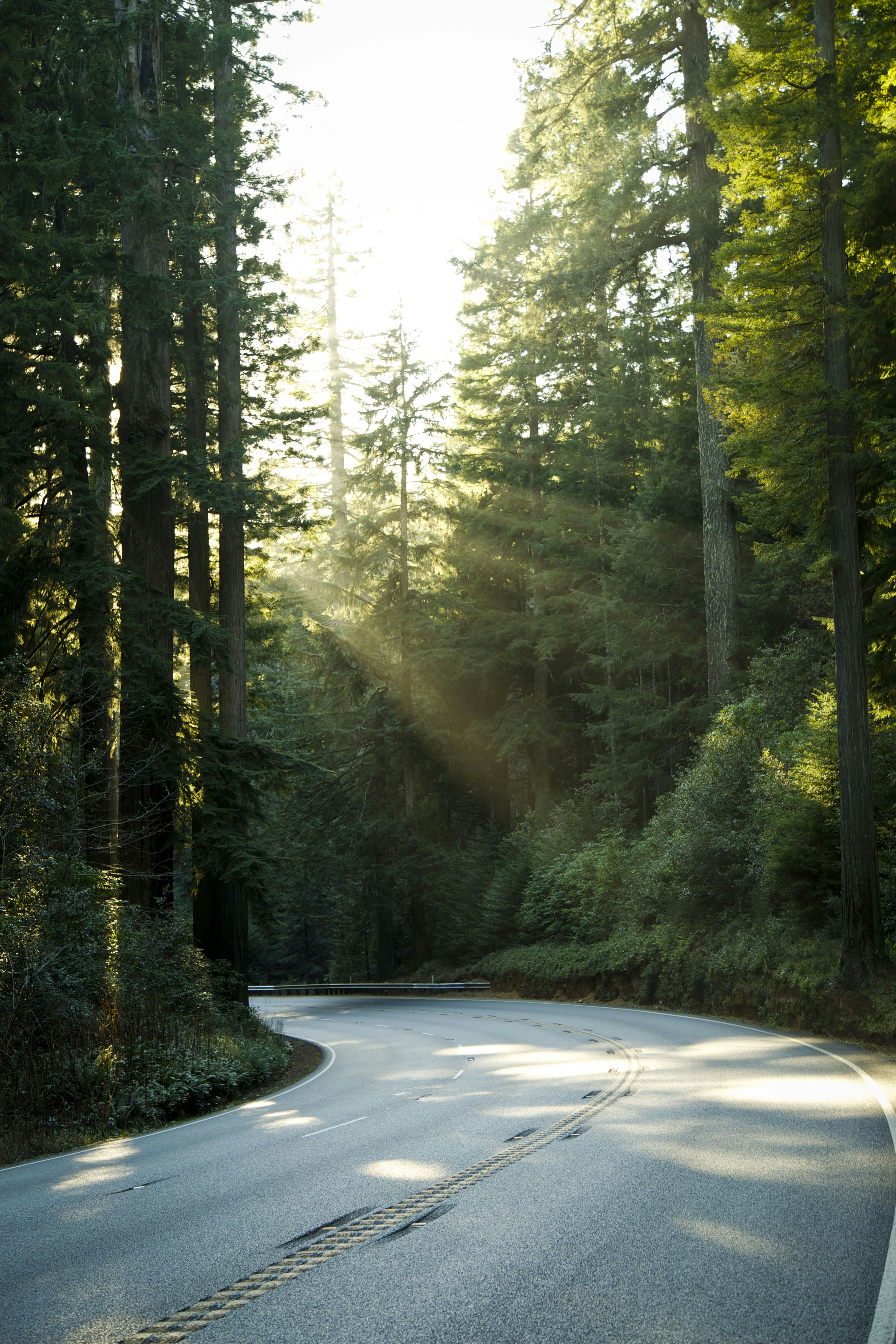 Photo by leo_visions_