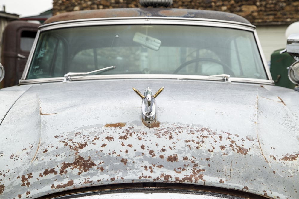 an old car with a goat head on the hood