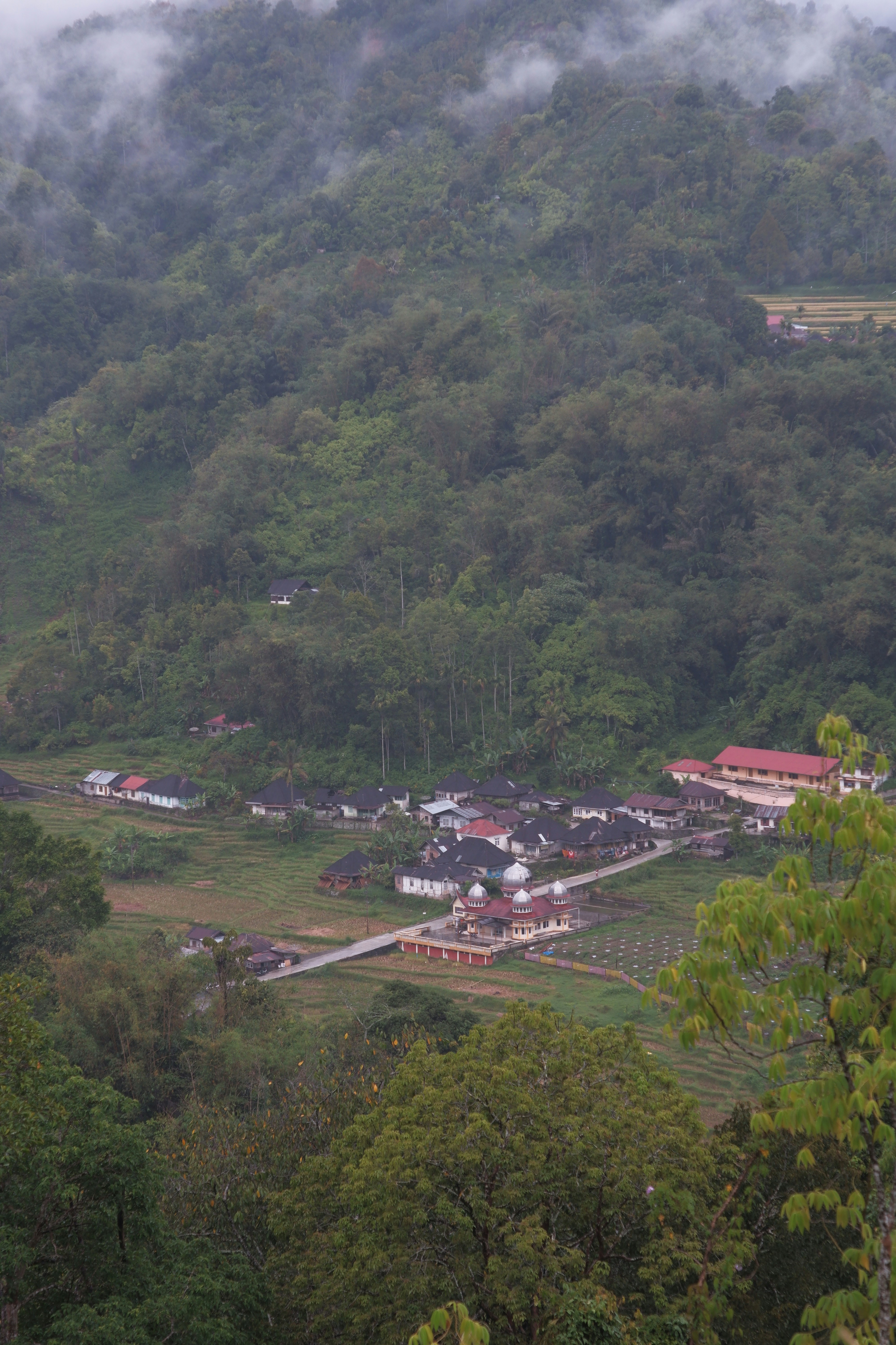 sebuah desa kecil yang terletak di tengah hutan hijau yang rimbun